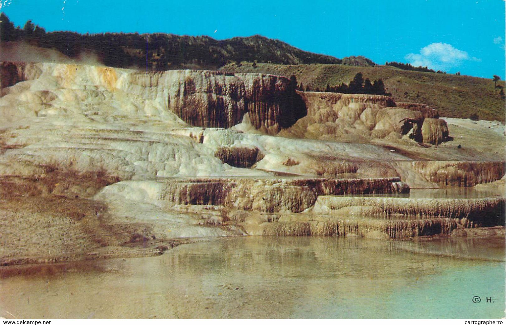 Postcards United States > WY - Wyoming > Yellowstone Minerva Terrace 1959 - Yellowstone