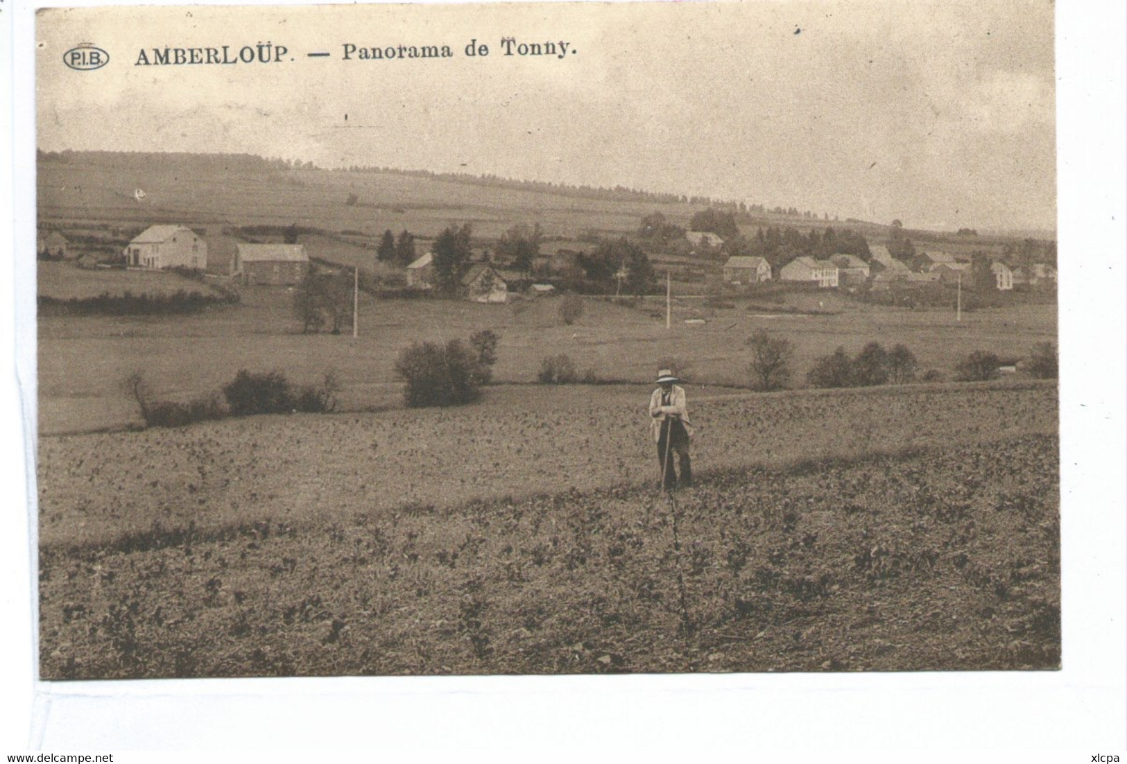 AMBERLOUP  Panorama De Tonny - Saint-Hubert