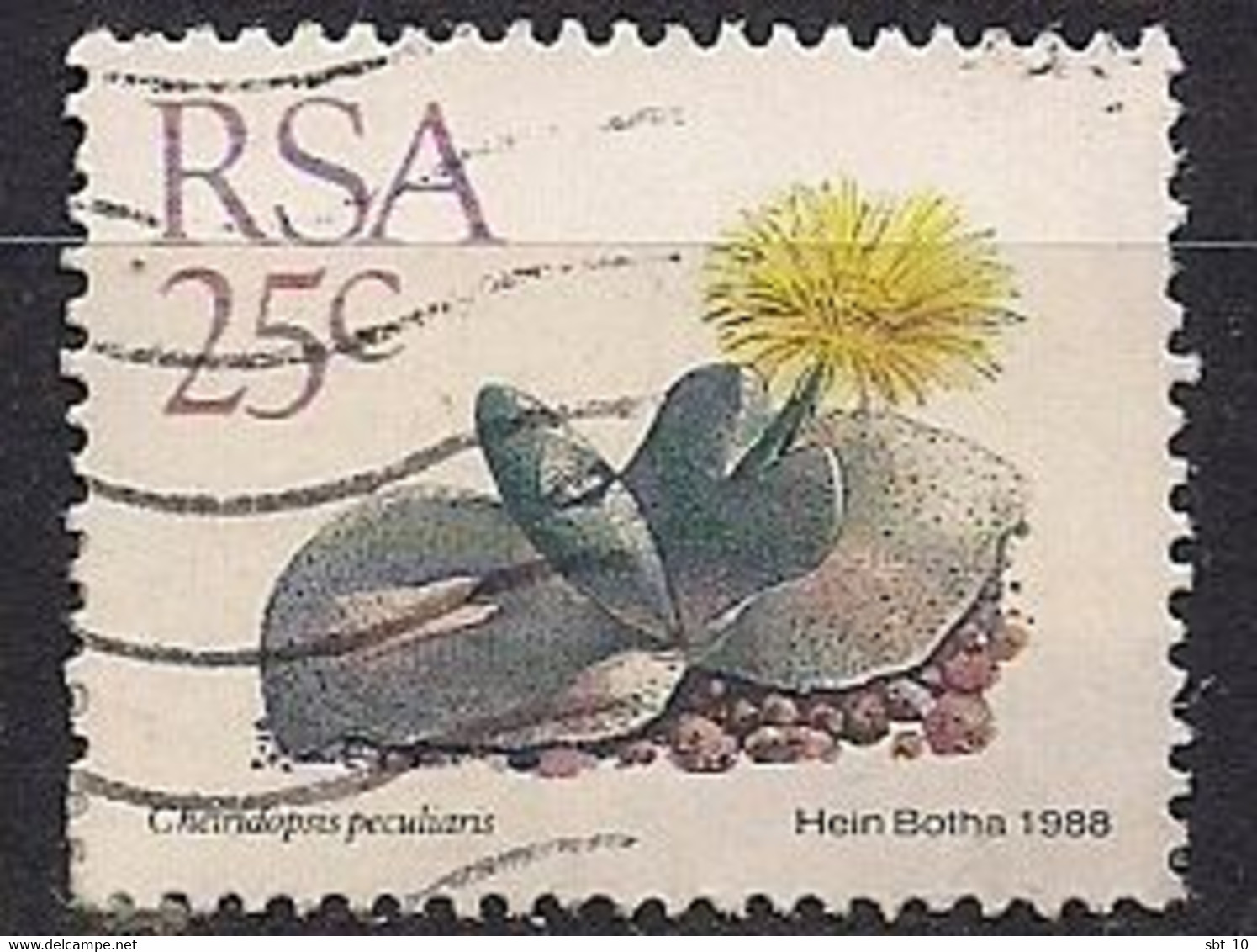 South Africa 1988-93 - Cheiridopsis Pecularis Scott#744- Used - Oblitérés