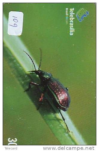 Télécarte  (109) TELEFONKARTE  * INSECTE * Scarabée * BEETLE INSECT Phonecard * KEVER * - Autres & Non Classés