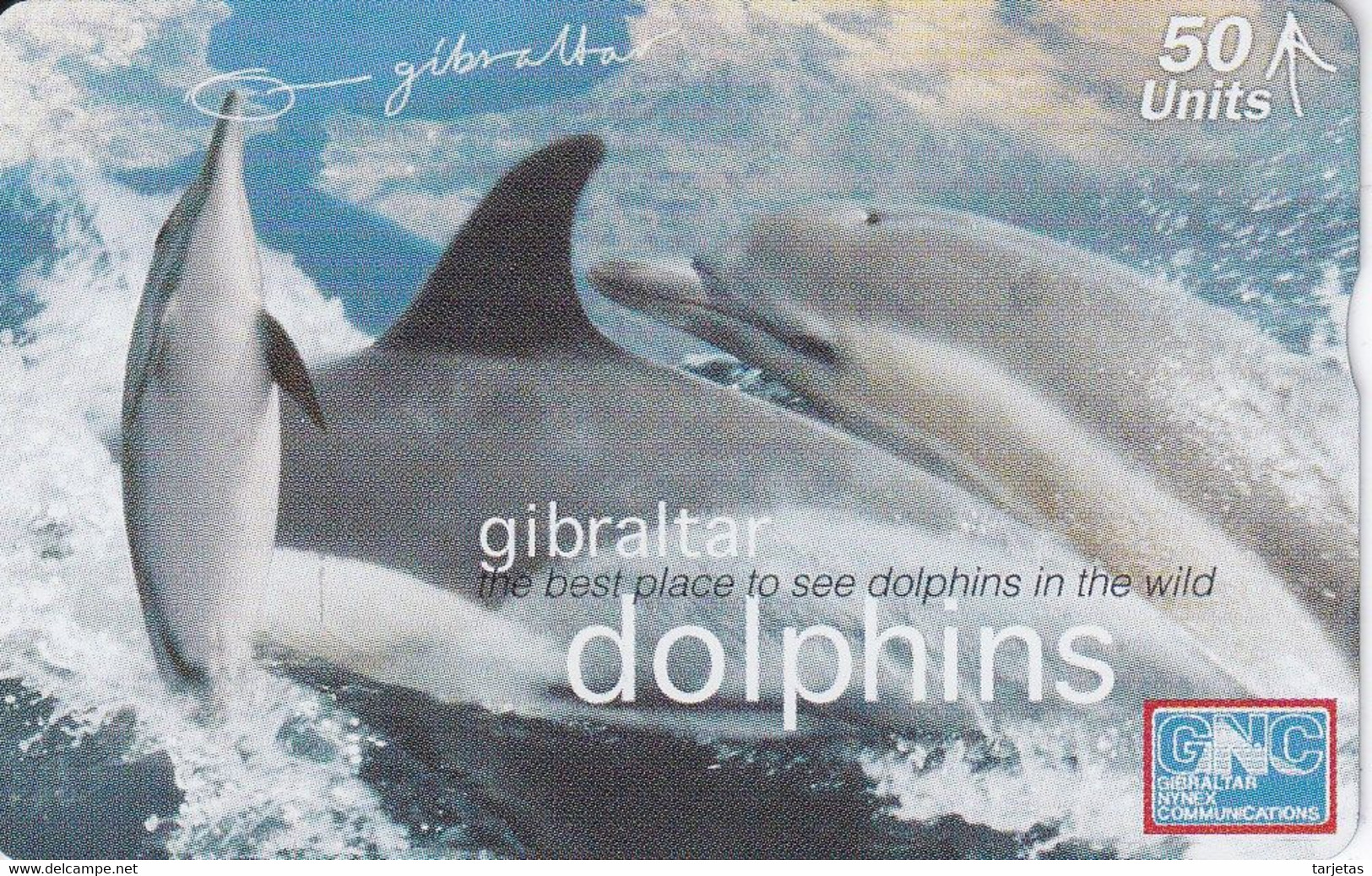 TARJETA DE GIBRALTAR DE UNOS DELFINES (DOLPHINS) - Gibraltar