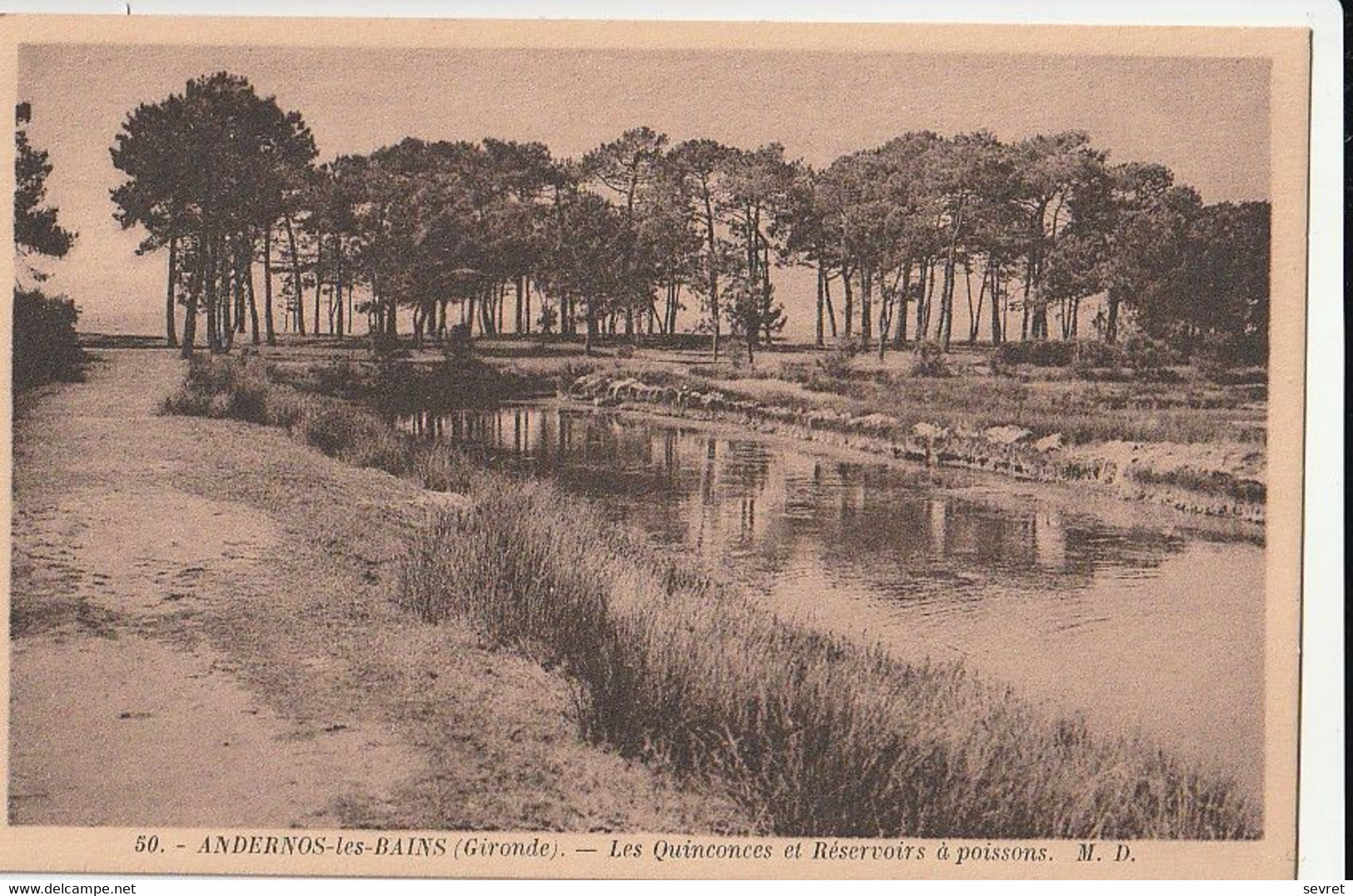 ANDERNOS-les-BAINS. - Les Quinconces Et Réservoirs à Poissons - Andernos-les-Bains