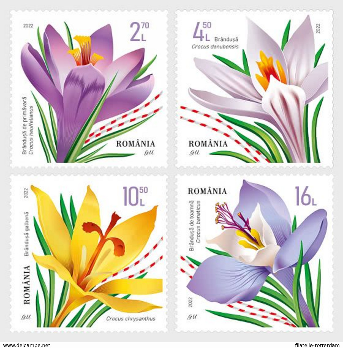 Roemenië / Romania - Postfris / MNH - Complete Set Krokussen 2022 - Nuevos