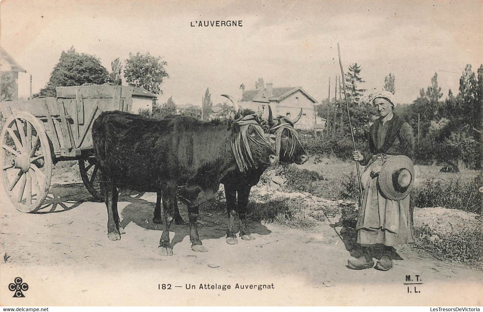 CPA Agriculture - Attelage - Un Attelage Auvergnat - L'auvergne - Animé - Equipaggiamenti