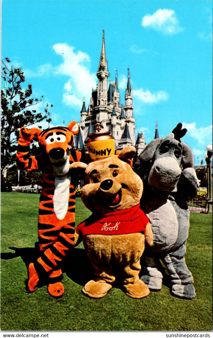 Florida Orlando Walt Disney World Winnie The Pooh Tigger And Eeyore - Orlando