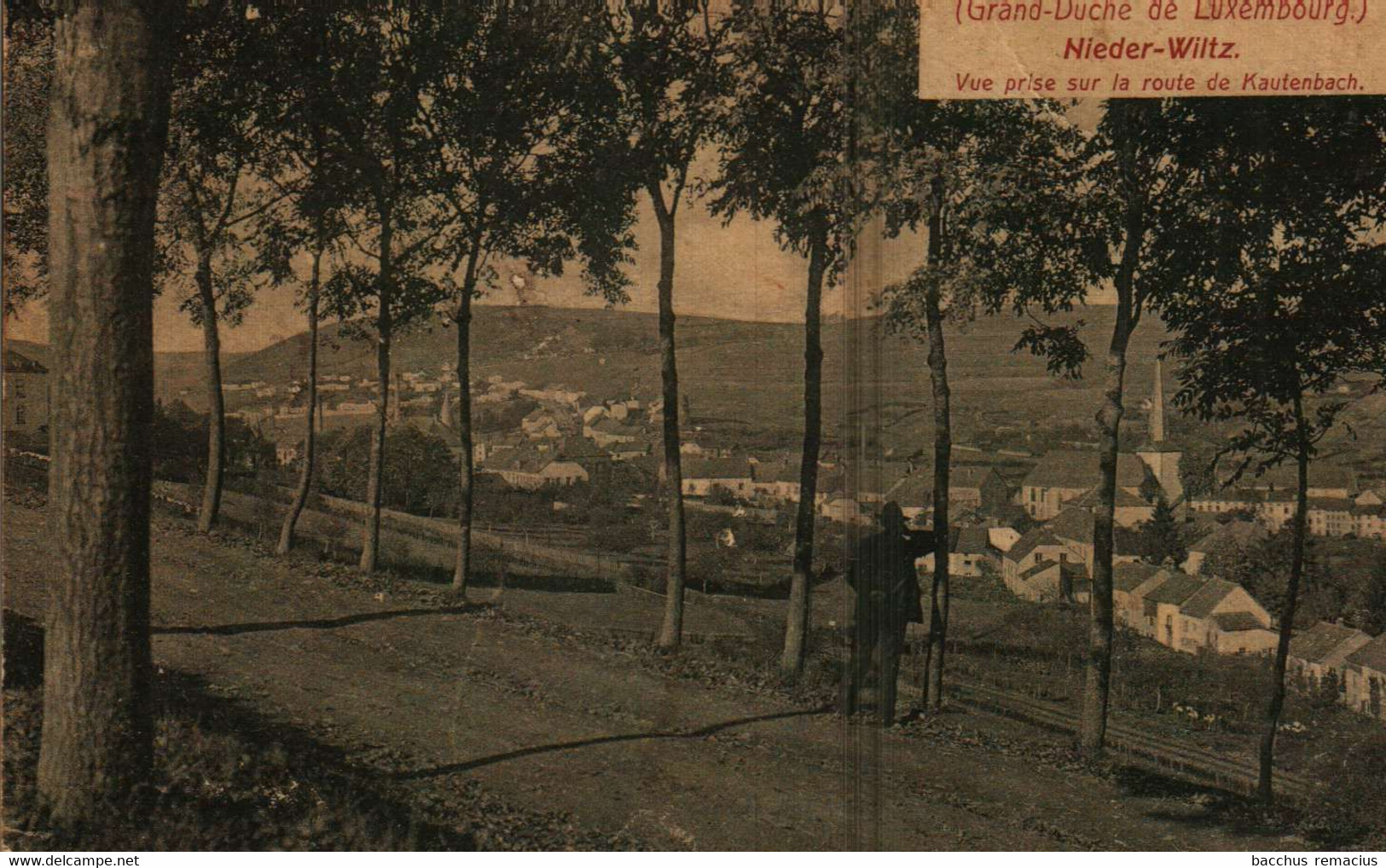 NIEDER-WILTZ  Vue Prise Sur La Route De Kautenbach  Ch.Bernhoeft Nr 325 - Wiltz