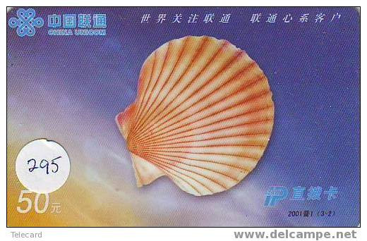 Schelpen - Seashells – Conchiglia – Sea Shell –  Coquille – Muschel – Seashell – Muszle (295) - Fish
