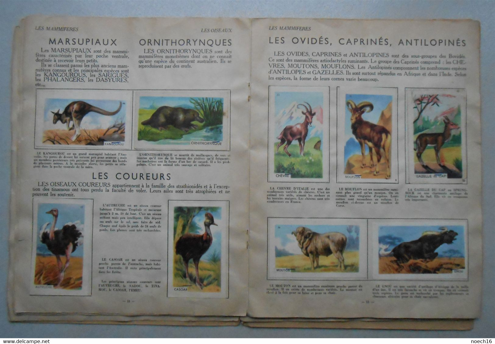 Album Chromos Complet - Histoire Naturelle Simplifiée - Entremets Francorusse - Albums & Catalogues