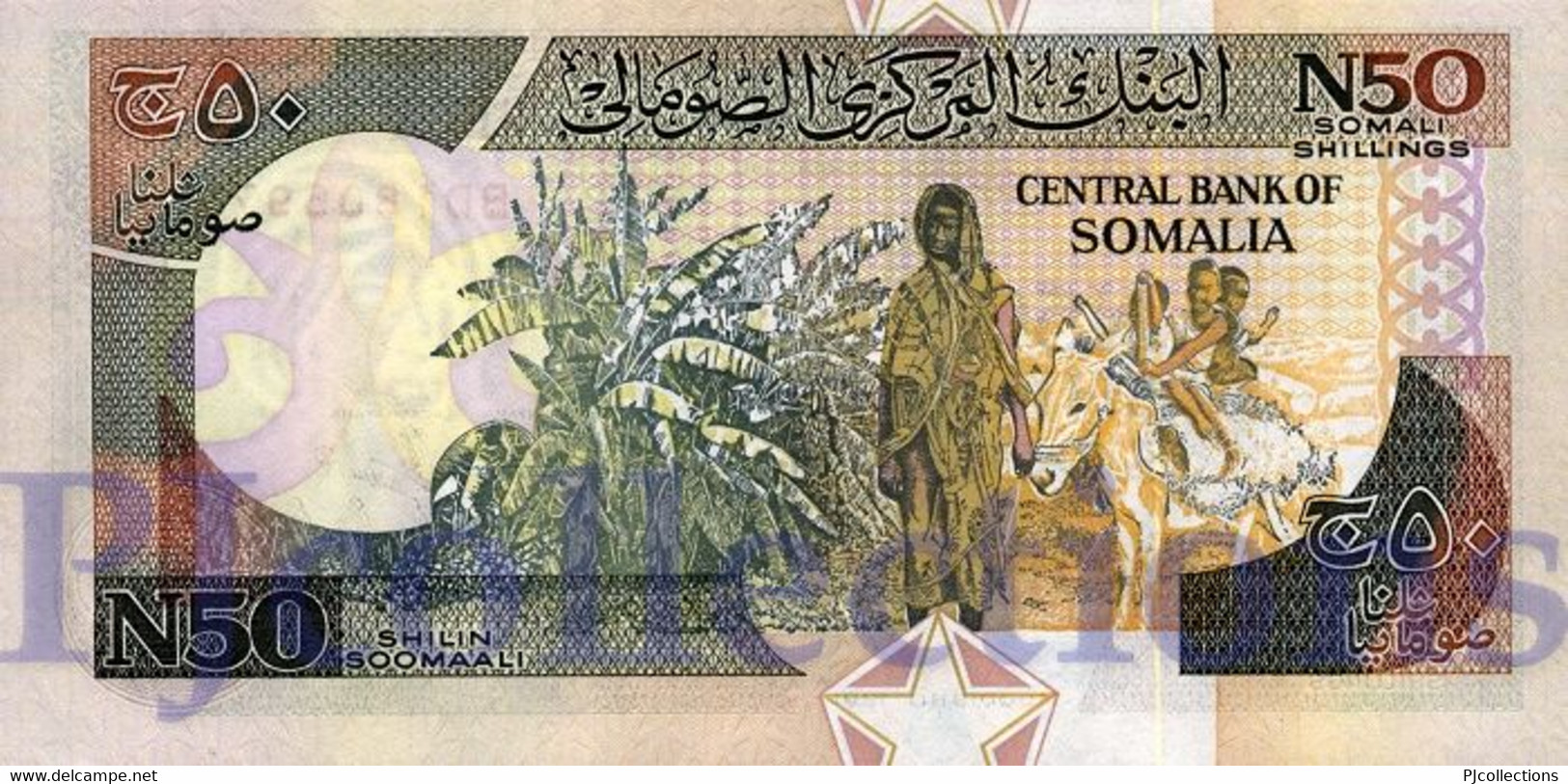 SOMALIA 50 N. SHILIN 1991 PICK R2 UNC - Somalië