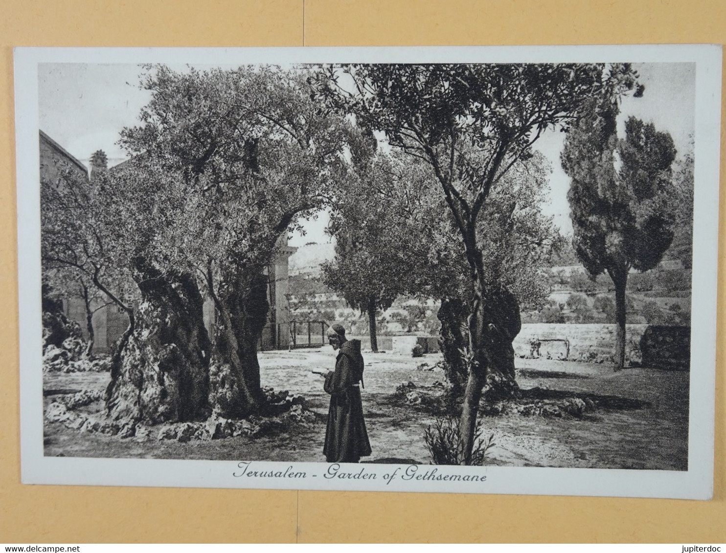 Jerusalem Garden Of Gethsemane - Israel