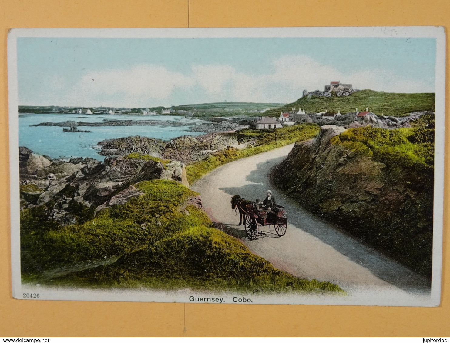 Guernsey Cobo - Guernsey
