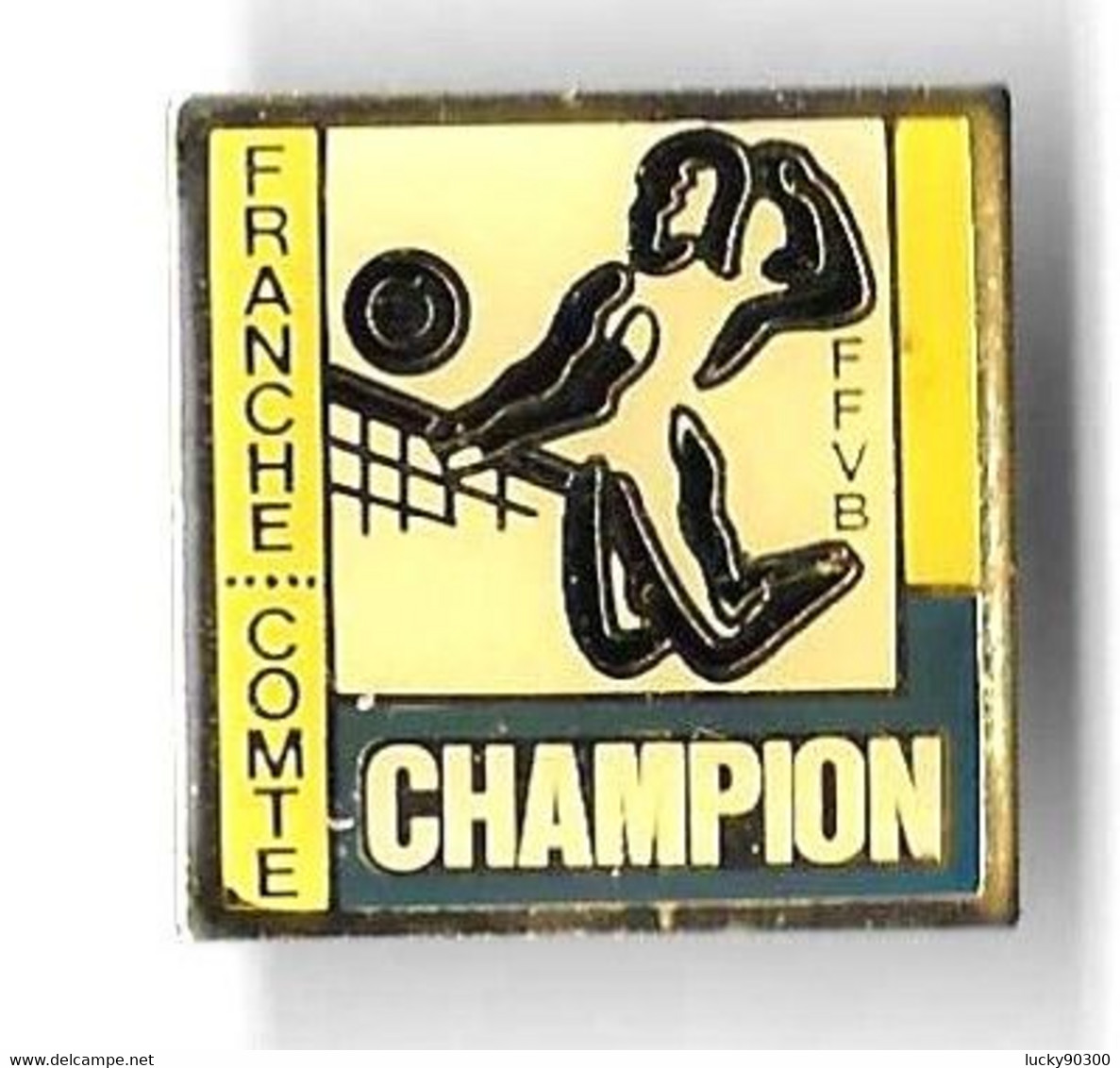 PINS - PIN'S - FRANCHE COMTE - CHAMPION - FFVB - VOLLEY BALL - Pallavolo