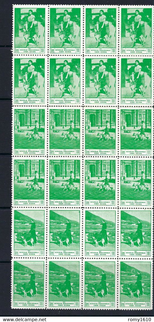 Chiudilettera Erinnofilia. 24 Vignette Cani Guida 1946 In Ottimo Stato. Italie, 24 Vignettes Chiens Guides. Recto/Verso. - Revenue Stamps