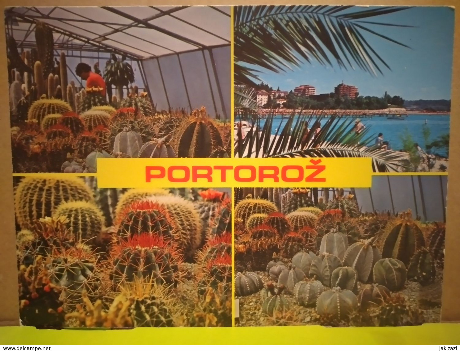 Portorož- Portorose. Cactusses Garden - Cactusses