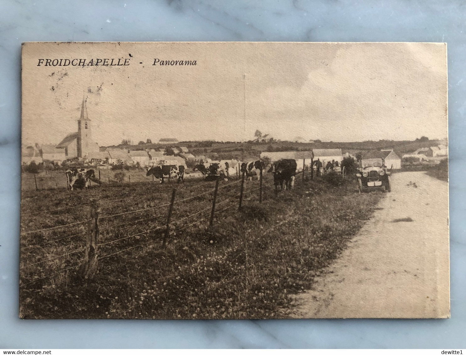 Froidchapelle  - Panorama  1929.  (Oldtimer Et Vaches) - Froidchapelle