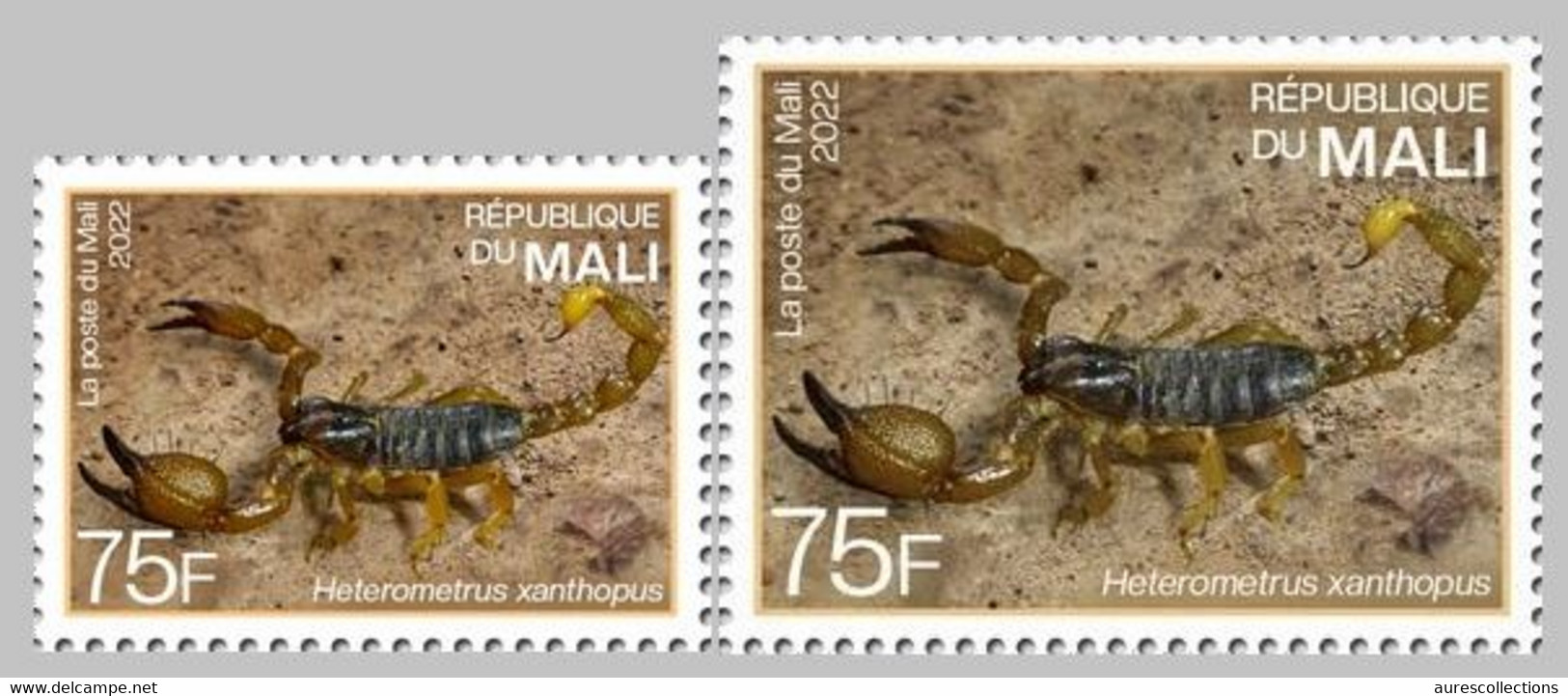 MALI 2022 SET 2V - INDIA ENDEMIC FAUNA - SCORPIONS SCORPION - RARE MNH - Araignées