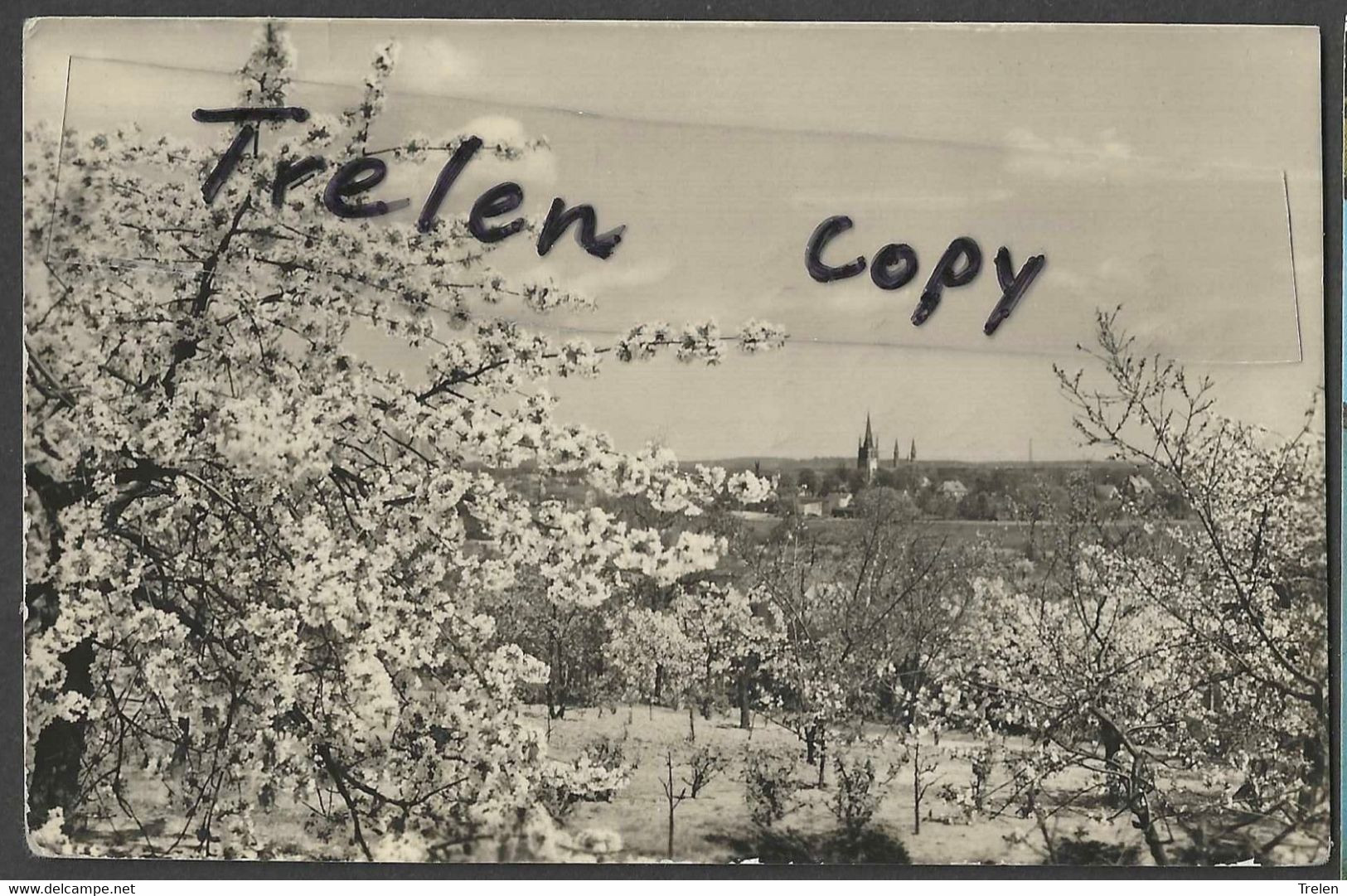 Allemagne, Werder, Blick Von Der Wachtelburg, 1959,  Gelaufen, Circulée - Werder