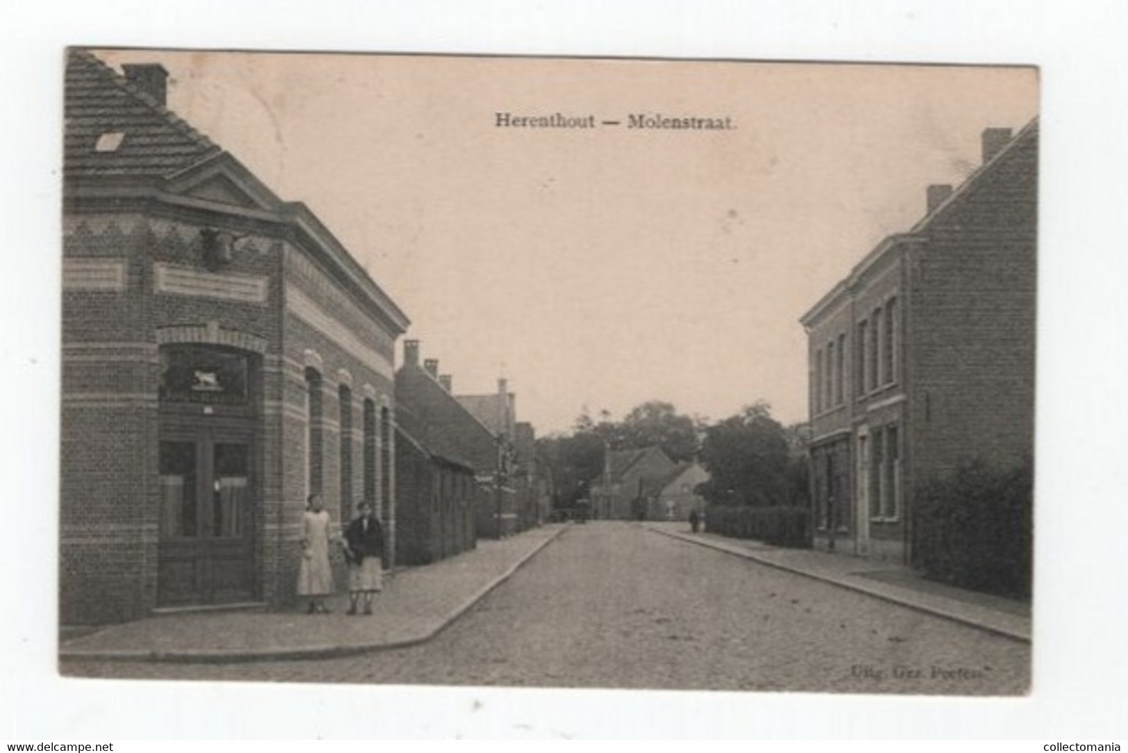 1 Oude Postkaart Herenthout  Molenstraat Koopman In Vetvee - Herentals