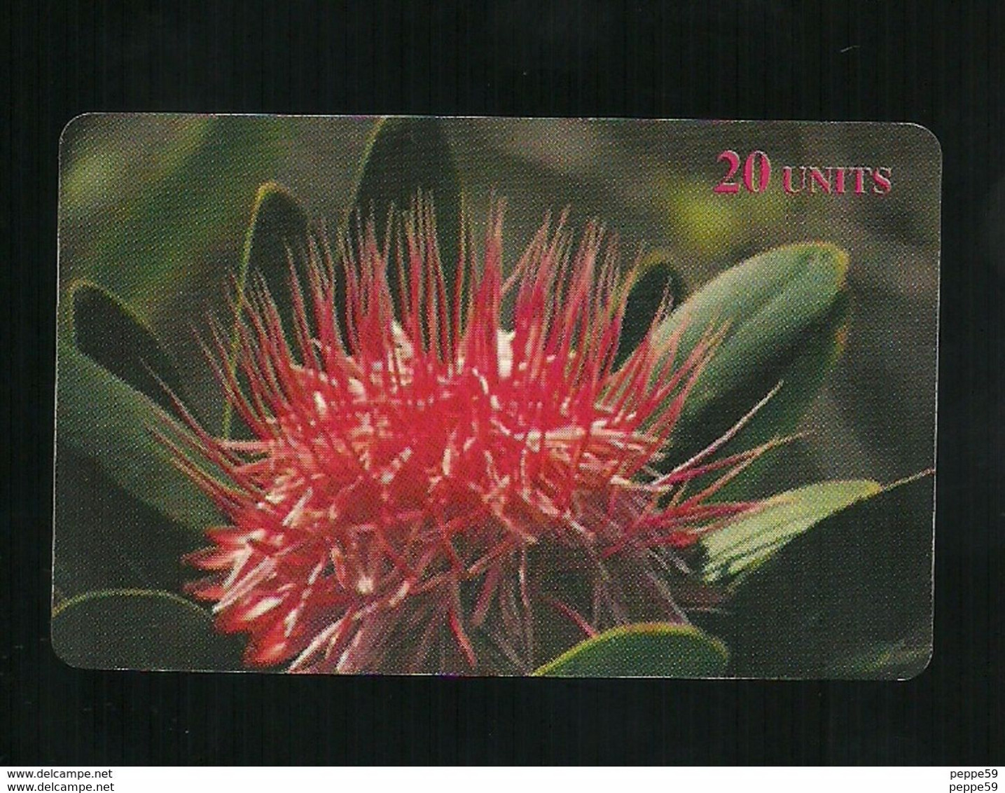 Carta Prepagata Delta Card - Botanica I Fiori N. 3 Di 16 - Andere & Zonder Classificatie