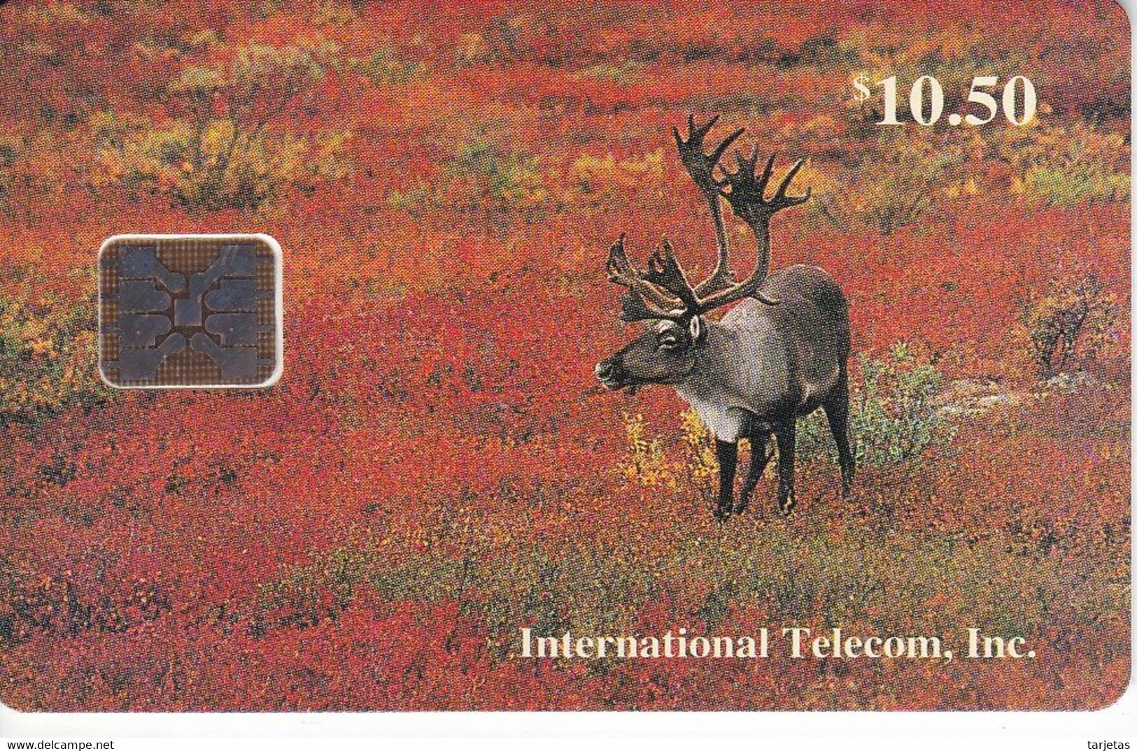 TARJETA CON CHIP DE ALASKA DE UN CARIBOU DE TIRADA 4000 - [2] Chip Cards