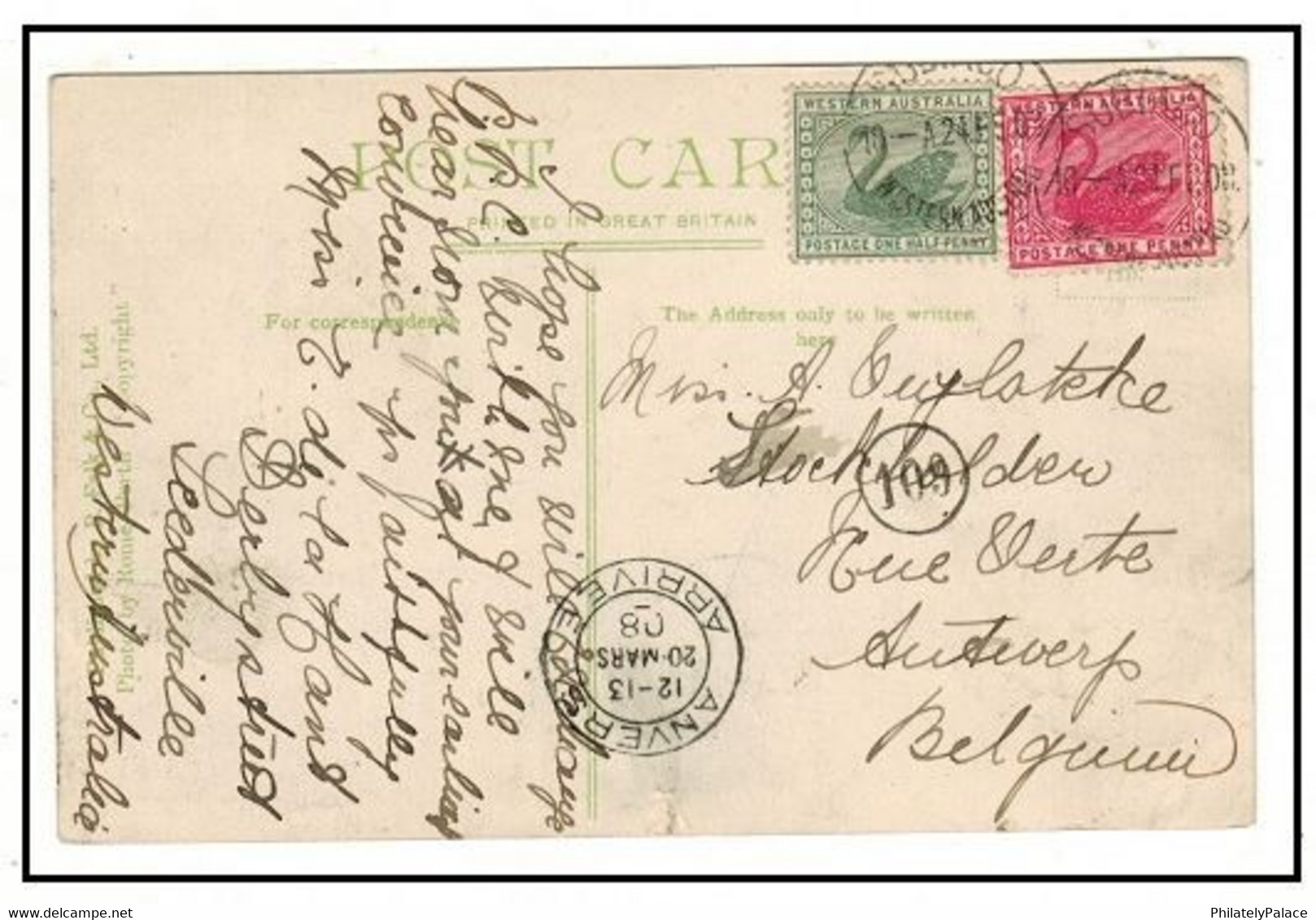 WESTERN AUSTRALIA - 1908 1 1/2d Rate Postcard Use To Belgium Used At SUBIACO (**) RED Swan & Green Swan Bird - Covers & Documents