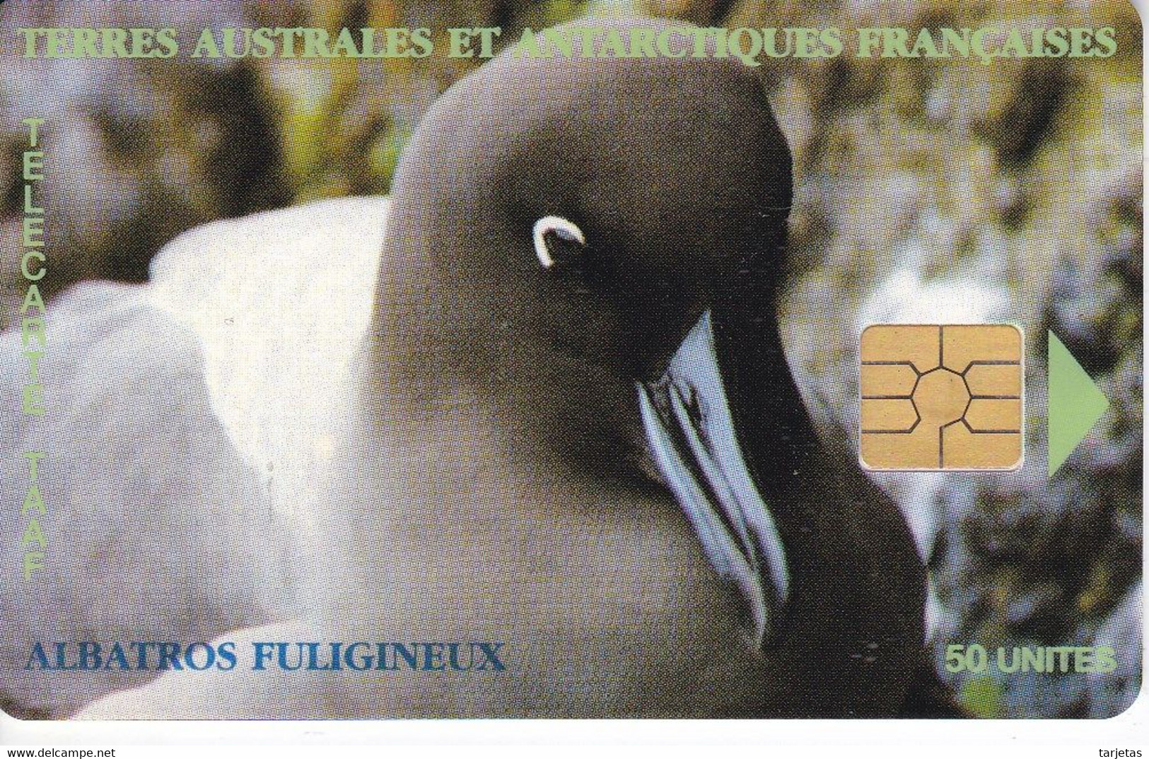 TARJETA DE TAAF DE UN ALBATRO DE TIRADA 1500 (BIRD-PAJARO) TERRES AUSTRALES ET ANTARTIQUES FRANCAISES - TAAF - French Southern And Antarctic Lands