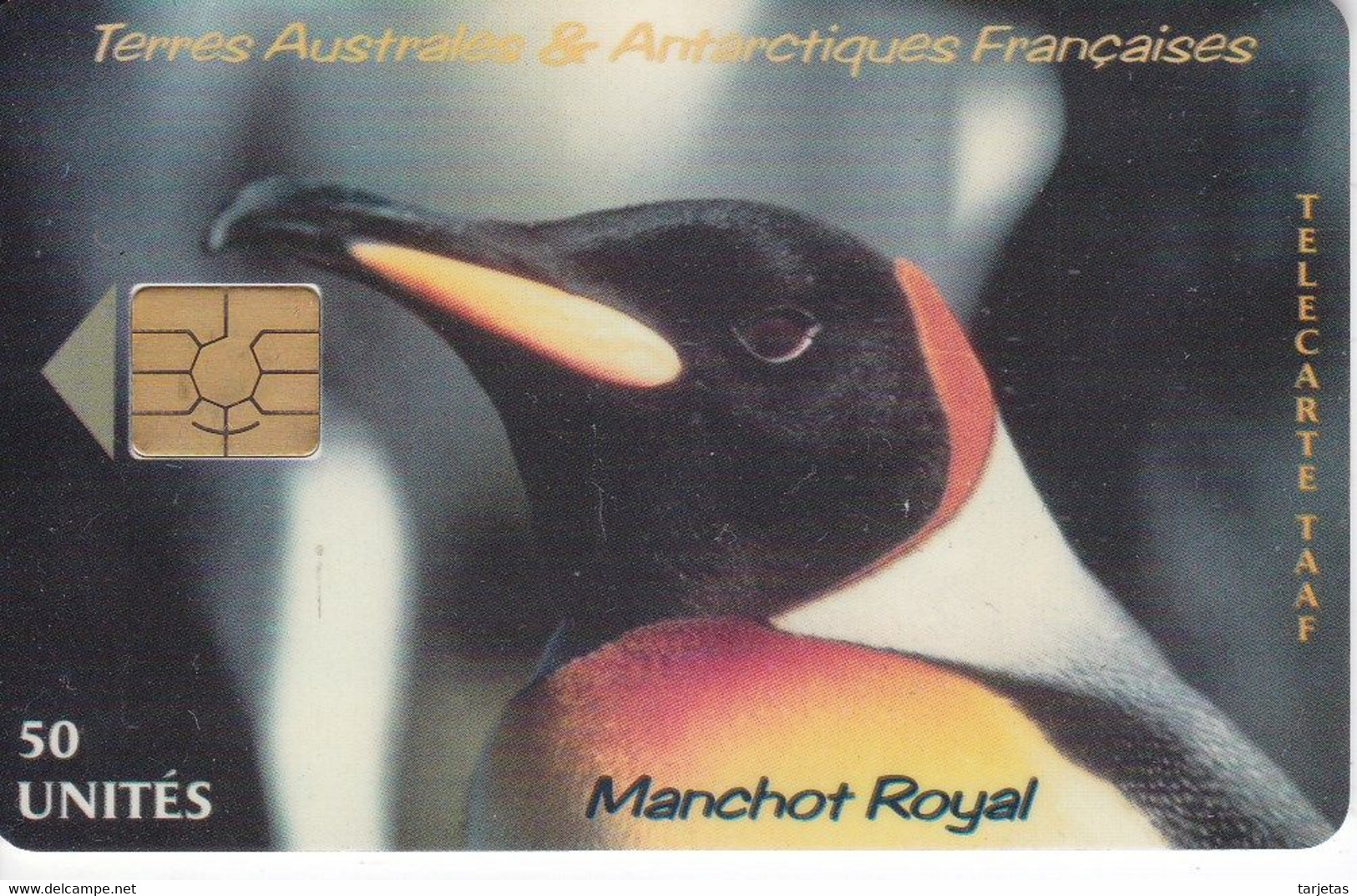 TARJETA DE TAAF DE UN PINGUINO MANCHOT ROYAL DE TIRADA 1500 (PENGUIN) TERRES AUSTRALES ET ANTARTIQUES FRANCAISES - TAAF - Franz. Süd- Und Antarktisgebiete