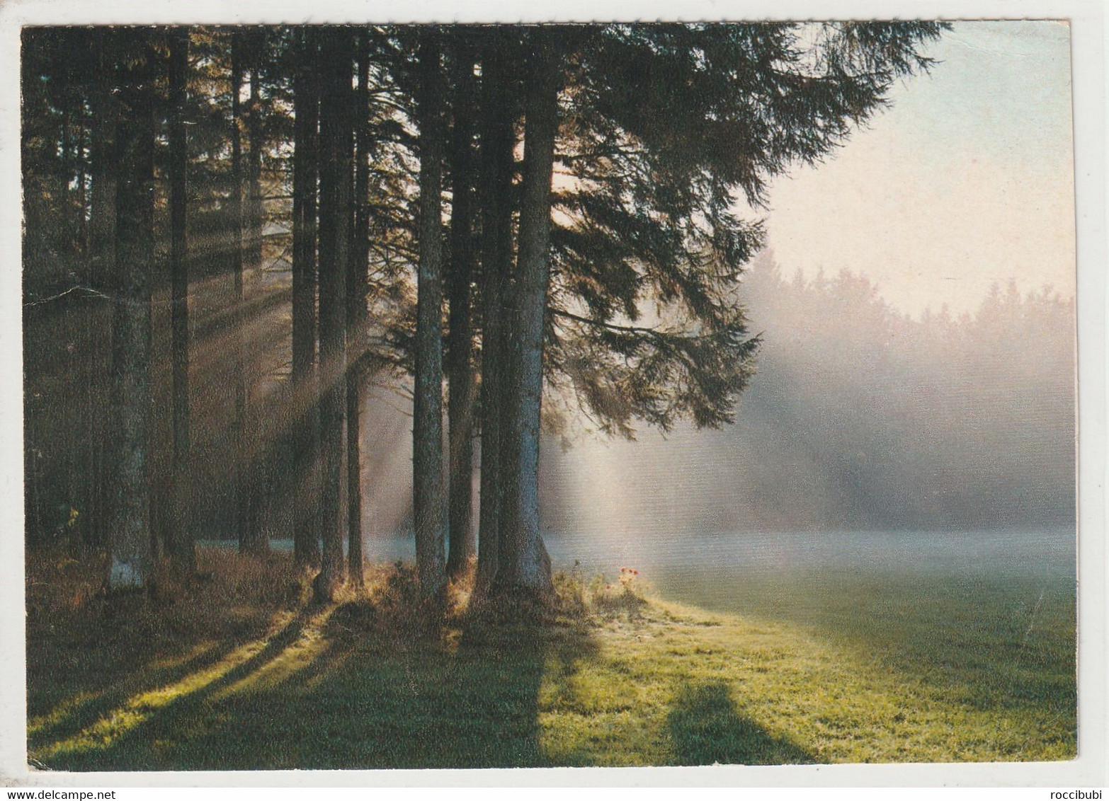 Hochschwarzwald, Baden-Württemberg - Hochschwarzwald