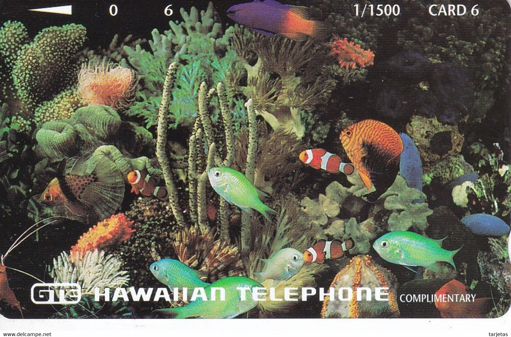 TARJETA DE HAWAII DE UNOS PECES DE TIRADA 1500 (PEZ-FISH) NUEVA-MINT - Hawaii