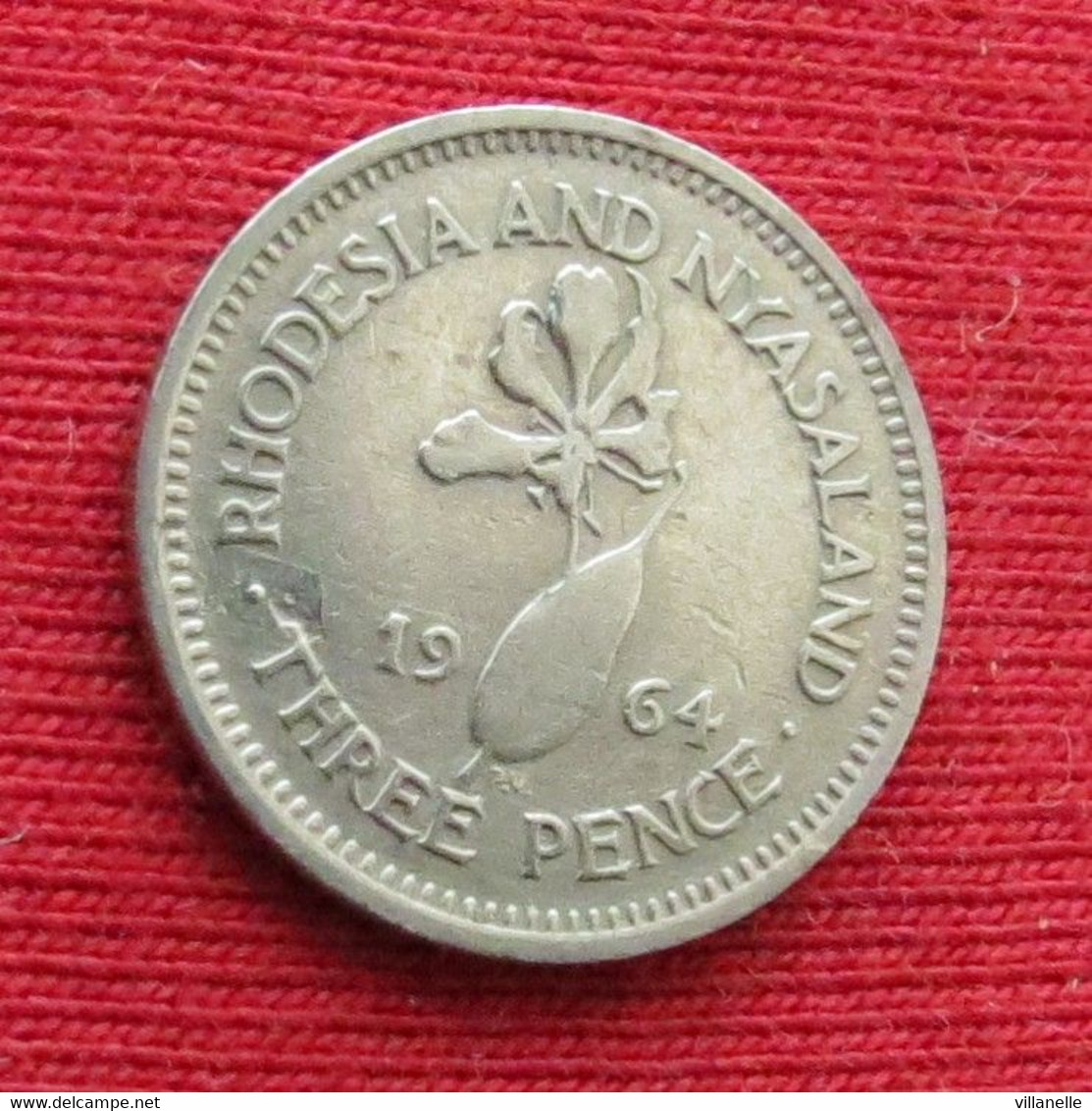 Rhodesia & Nyasaland 3 Three Pence 1964 Rodesia Rhodesie #3 Wºº - Rhodesia