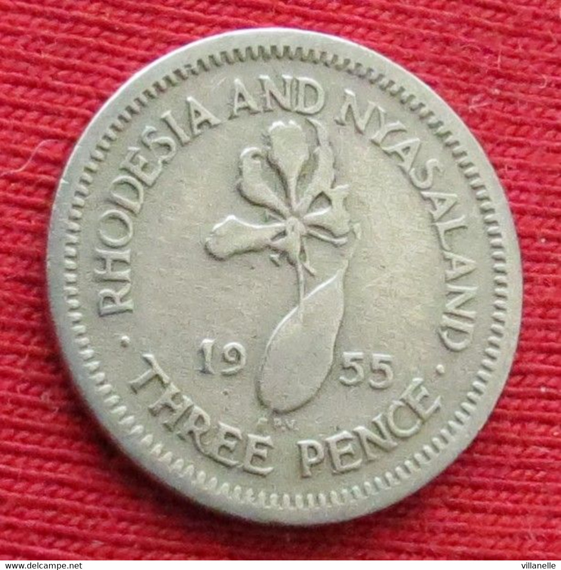 Rhodesia & Nyasaland 3 Three Pence 1955 Rodesia Rhodesie #2 Wºº - Rhodesien