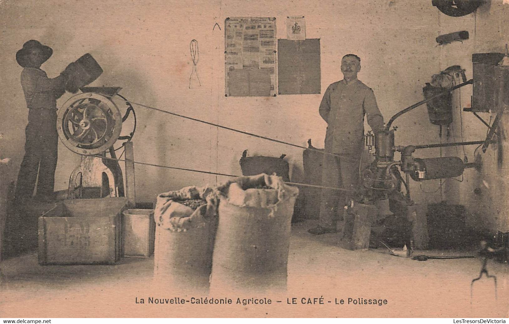 CPA NOUVELLE CALEDONIE Agricole - Le Café - Le Polissage - Animé - Nuova Caledonia