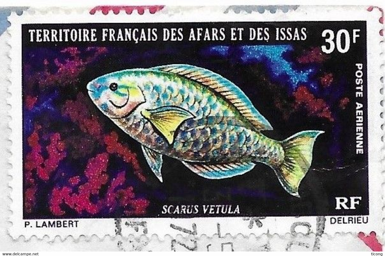 TERRITOIRE FRANCAIS DES AFARS ET ISSAS CACHETS RONDS 1972 DJIBOUTI -  POISSON SCARUS VETULA SEUL SUR LETTRE, A VOIR - Lettres & Documents