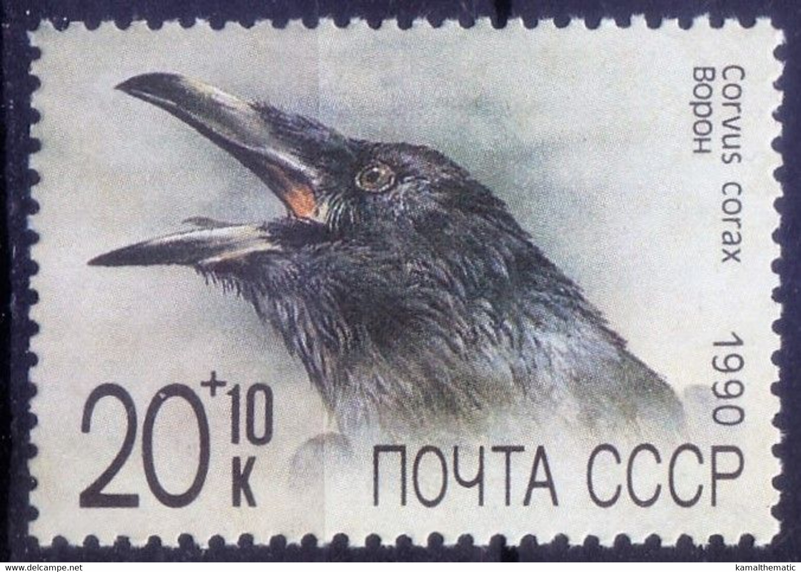 Soviet Union, USSR 1990 MNH, Common Raven, Birds, Zoo Relief Fund - Cuco, Cuclillos