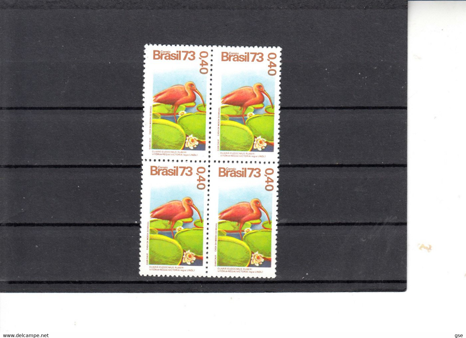 BRASILE  1973 - Yvert  1084**   X 4 (MNH) - Uccelli - Cuckoos & Turacos