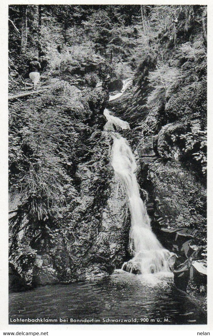 LOHTENBACKLAMM BEI BONNDORF IM  SCHWARZWALD - Bonndorf