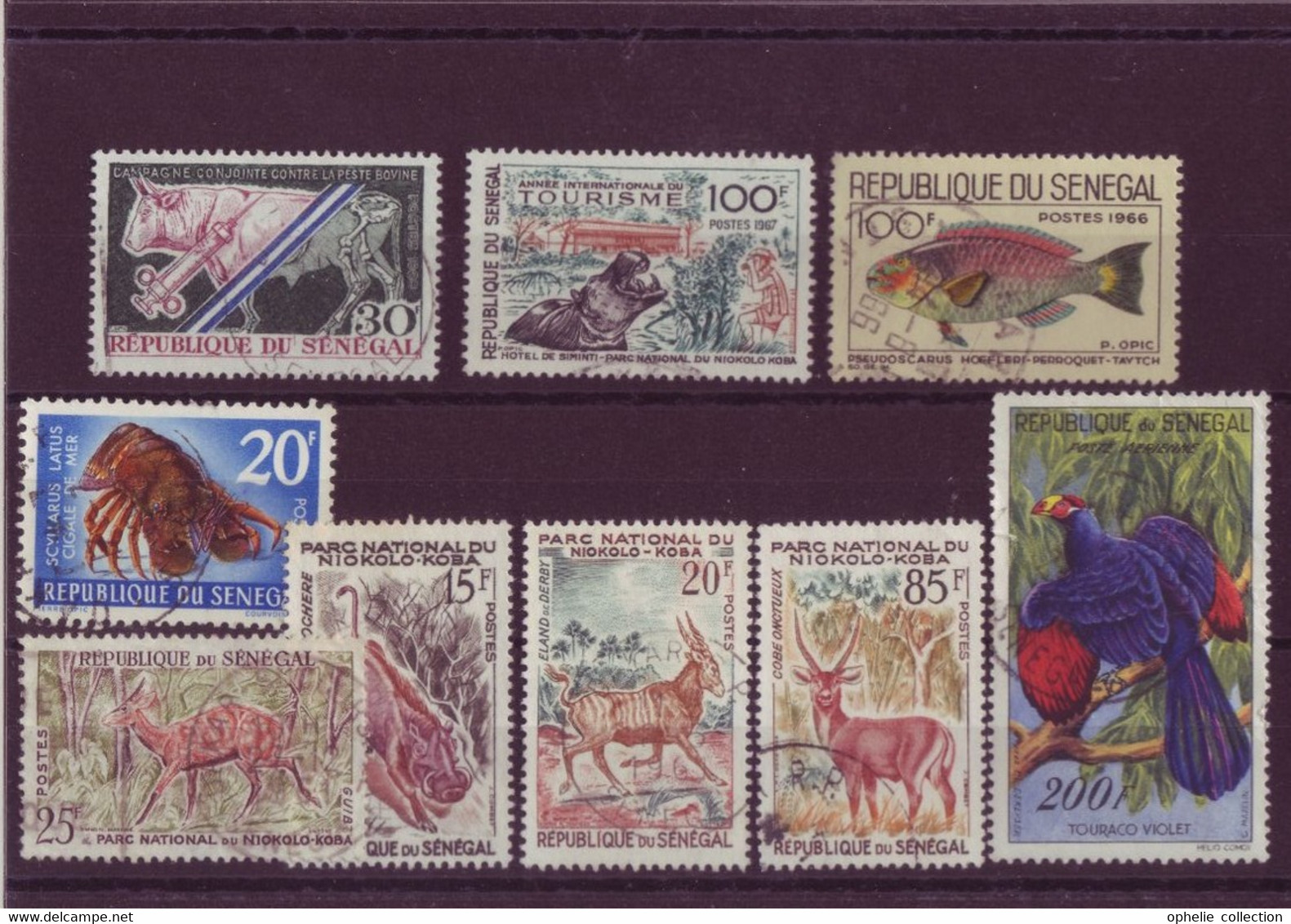 Afrique - République Du Sénégal - Faune - 9 Timbres Différents - 3590 - Sénégal (1960-...)