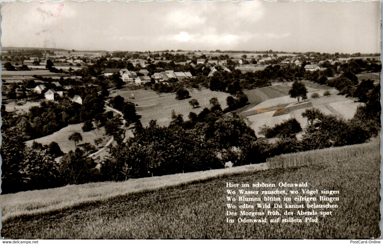 41783 - Deutschland - Im Odenwald - Gelaufen - Odenwald