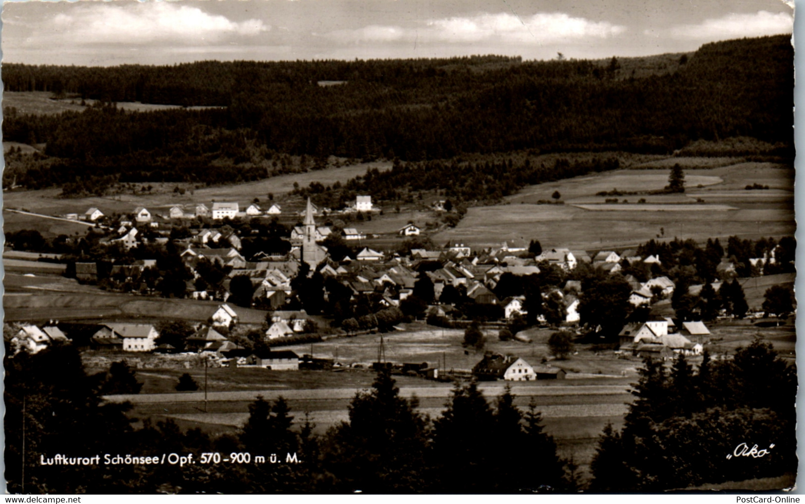 42109 - Deutschland - Schönsee Opf. , Blick Auf Den See - Gelaufen - Schwandorf