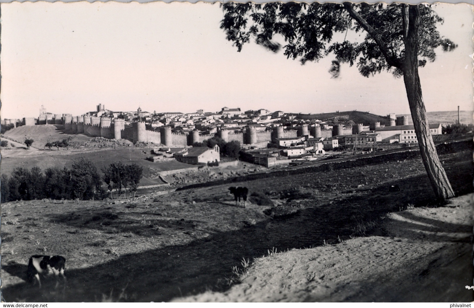 AVILA  , T.P. NO CIRCULADA , VISTA GENERAL , ED. GARCIA GARRABELLA - Ávila