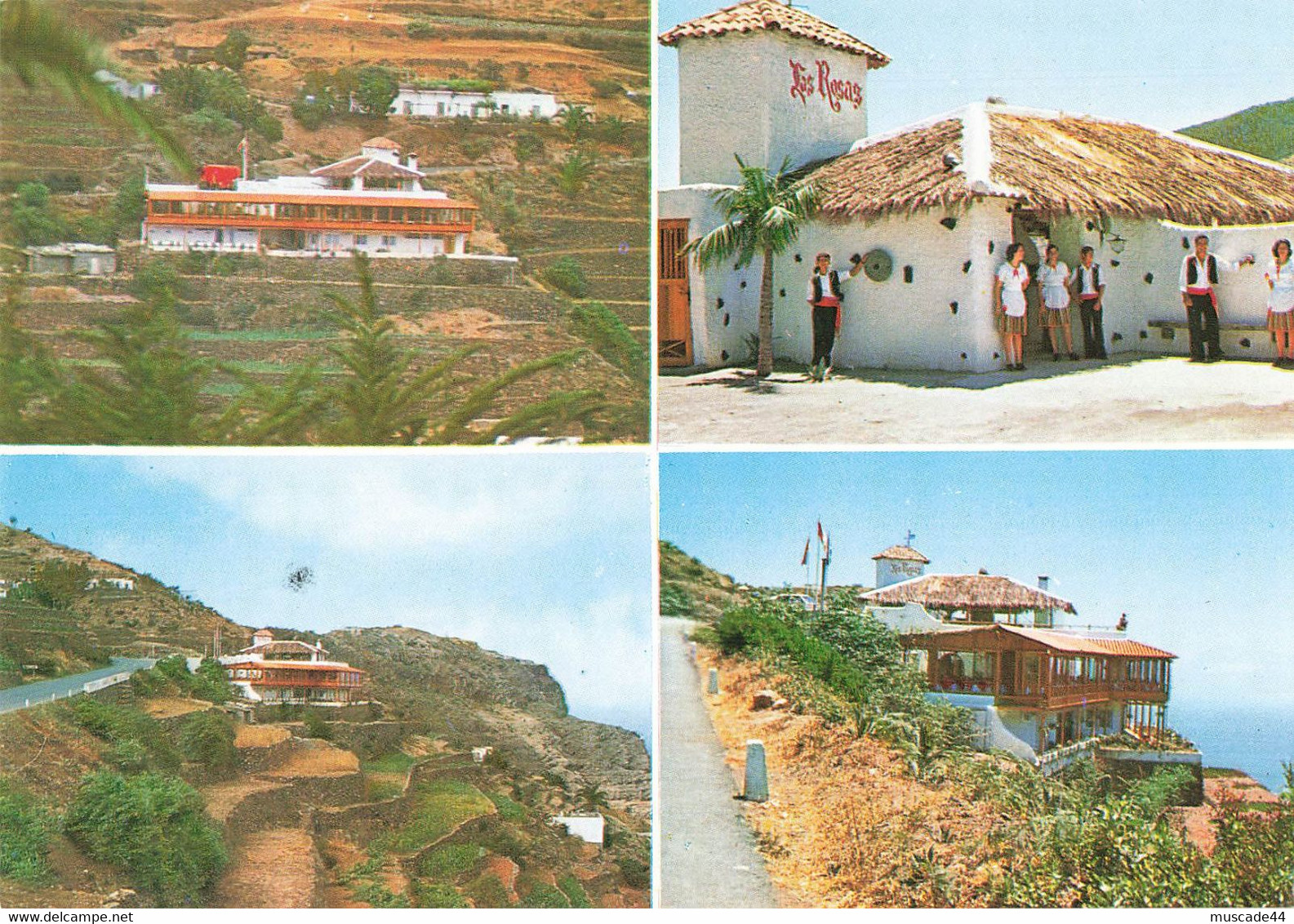 GOMERA - RESTAURANTE LAS ROSAS - Gomera