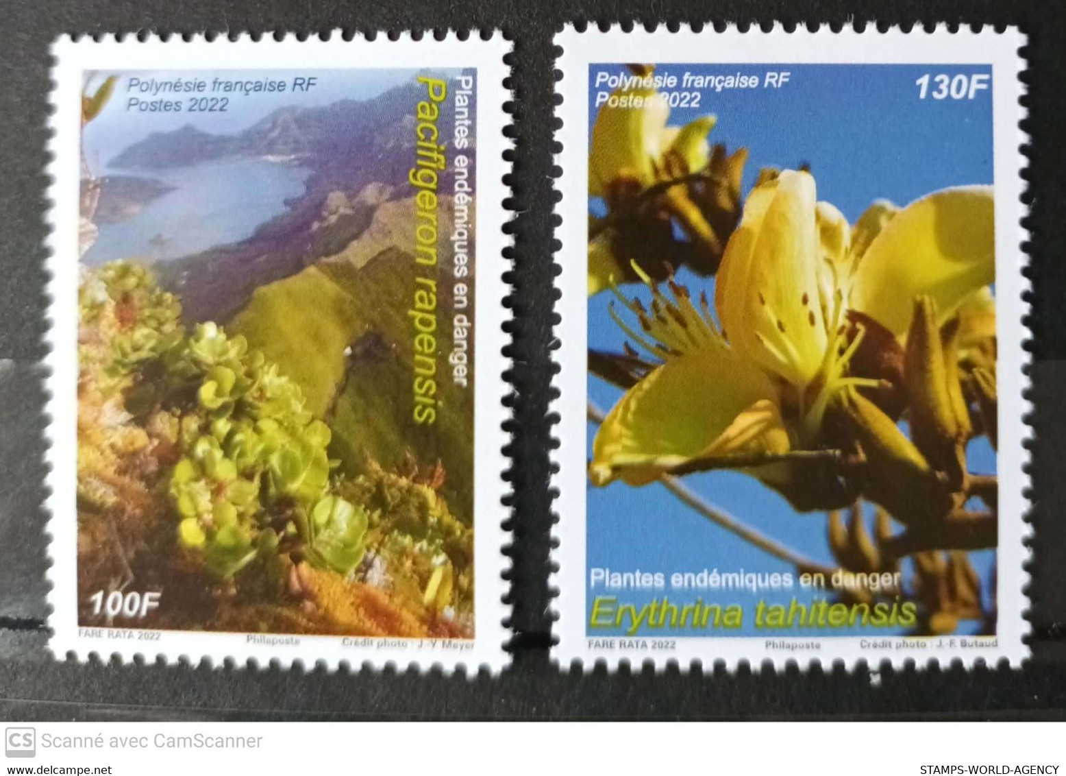 2022 YEAR - FRENCH POLYNESIA - YEAR PACK Complet Sets       MNH** - Komplette Jahrgänge