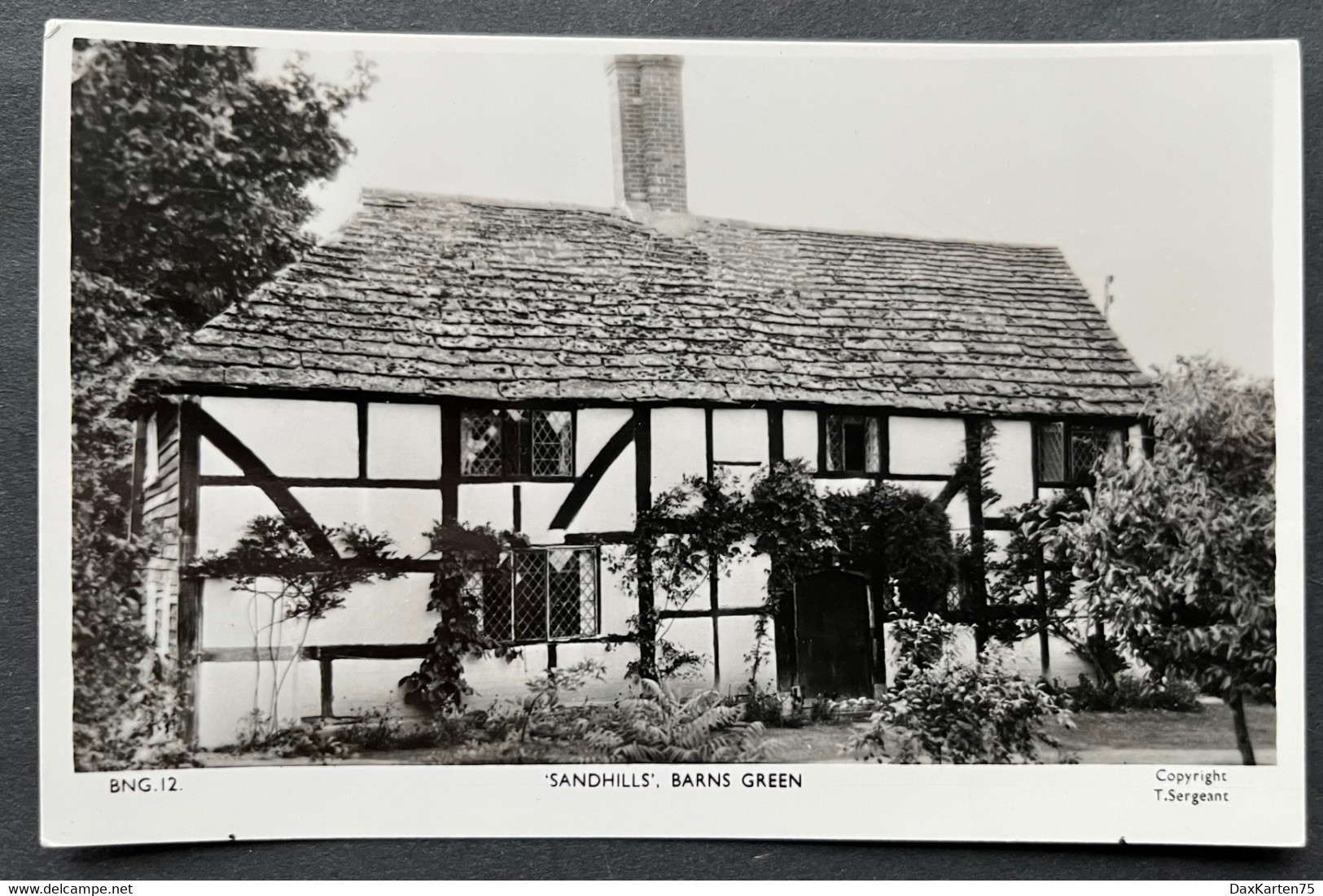 Barns Green Sandhills/ Fotokarte - Chichester