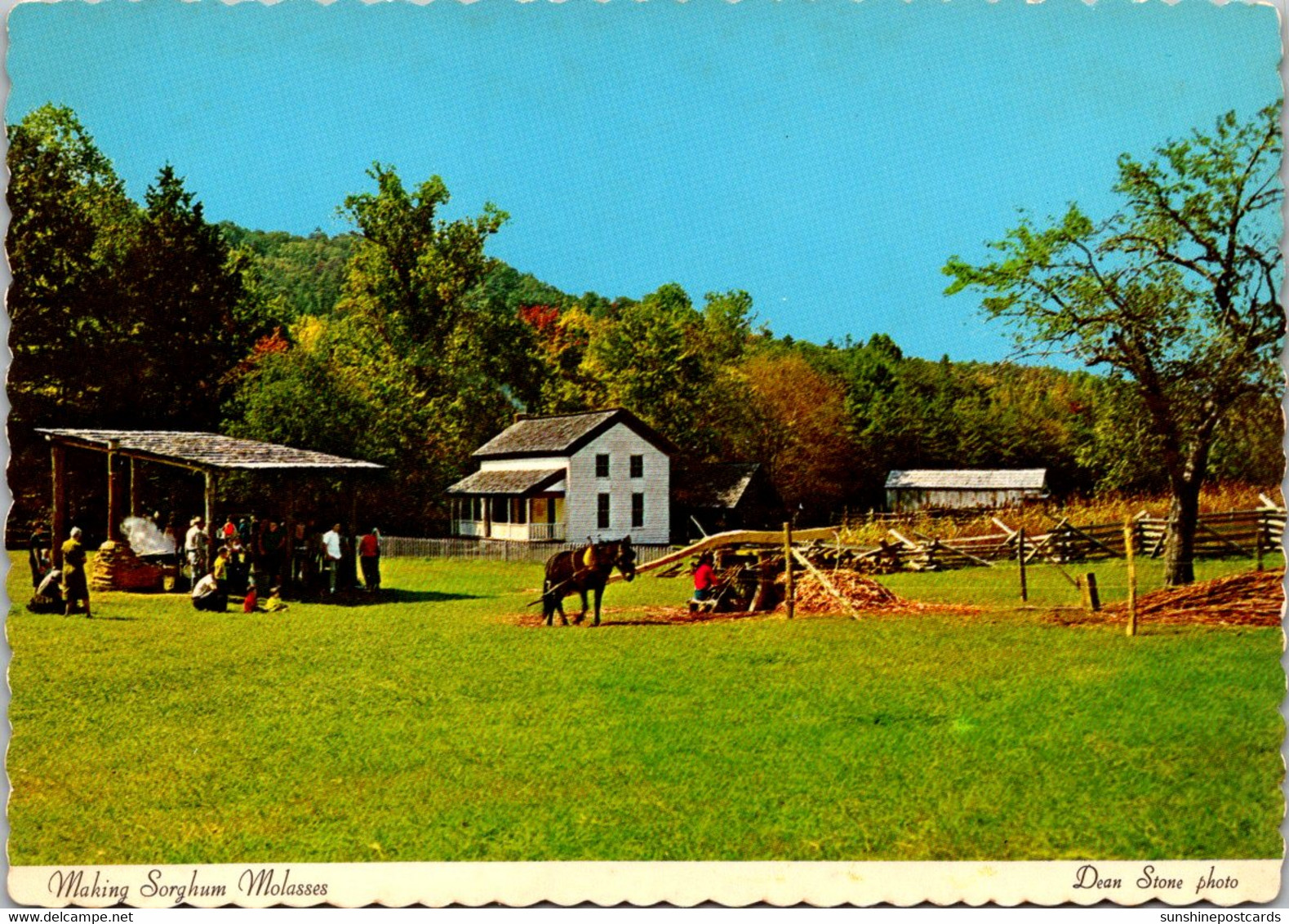 Tennessee Smoky Mountains Cades Cove Near Townsend Making Sorghum Molasses At Becky Cable Farm - Smokey Mountains