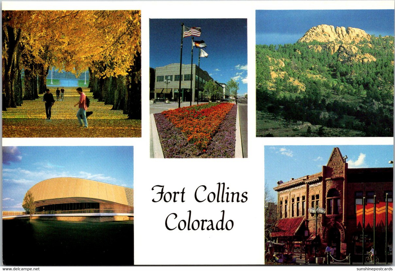 Colorado Fort Collins Multi View - Fort Collins