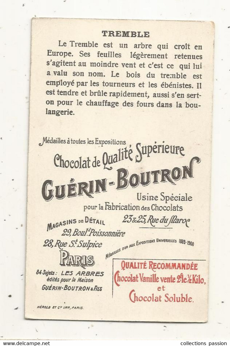 Chromo, Chocolat GUERIN-BOUTRON,  Arbre , TREMBLE ,  2 Scans - Guerin Boutron