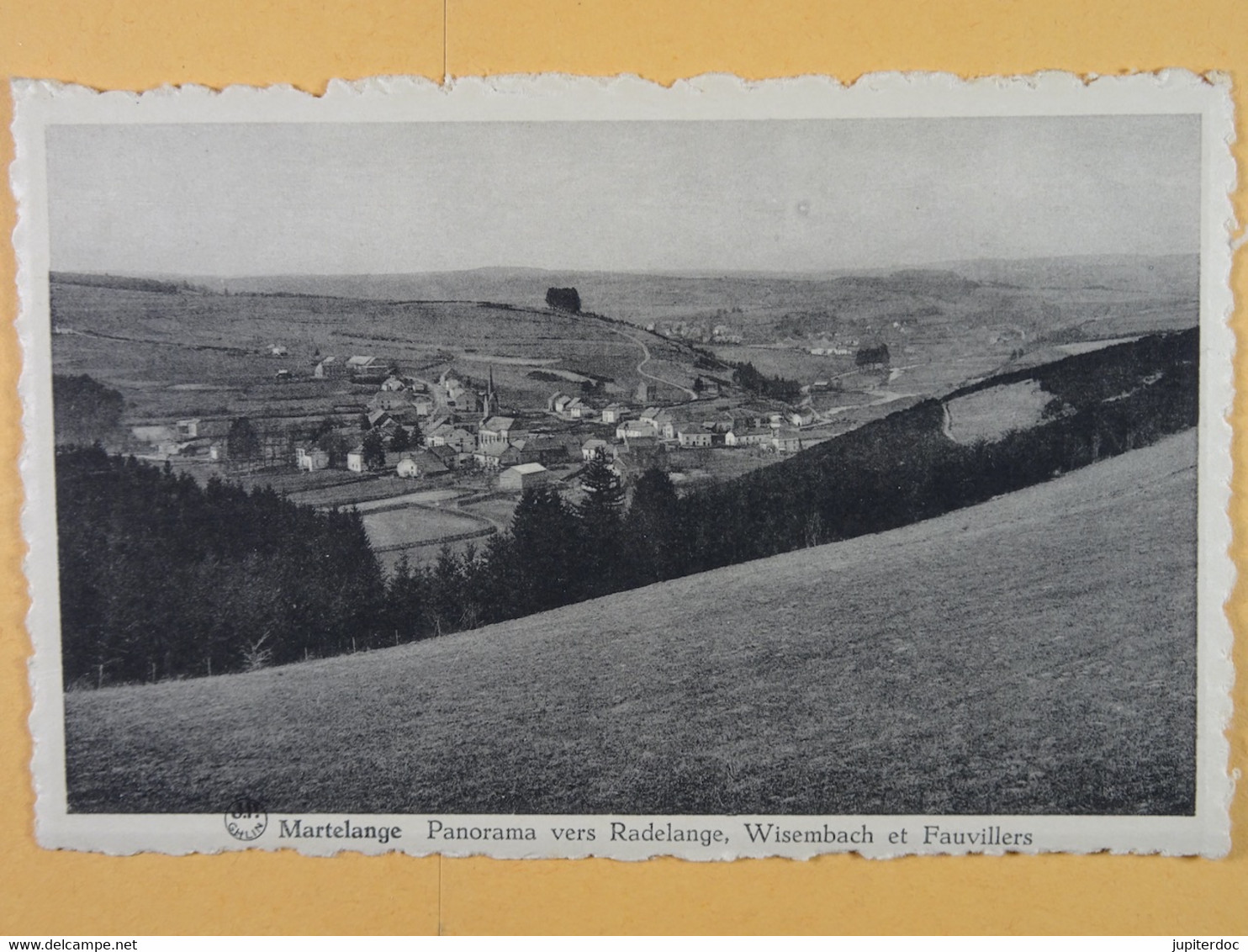 Martelange Panorama Vers Radelange, Wisembach Et Fauvillers - Martelange