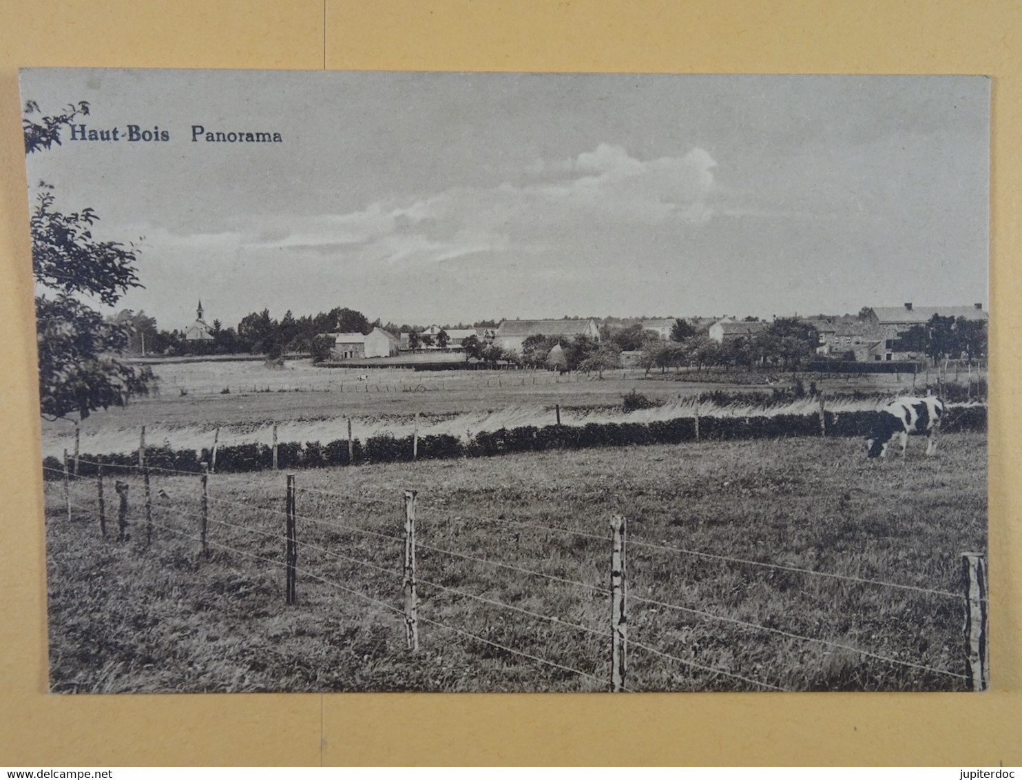 Haut-Bois Panorama - Gesves