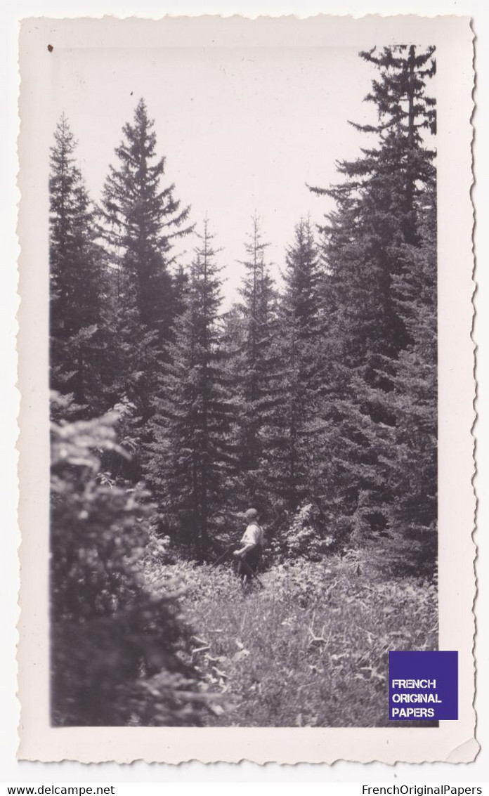 Forêt De Prémol / Isère - Photo 1938 11x6,8cm Près Chamrousse Uriage Belledonne A86-35 - Lugares