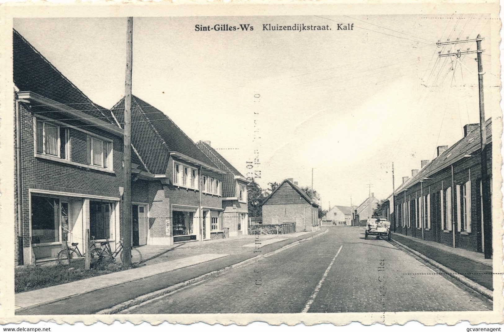 SINT GILLES WAAS  KLUIZENDIJKSTRAAT  KALF      2 SCANS - Sint-Gillis-Waas